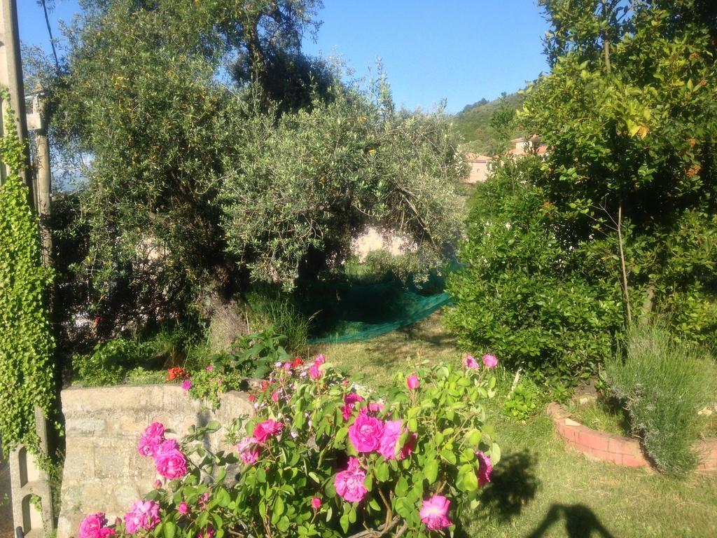 Hotel Les Calanques Piana  Cameră foto